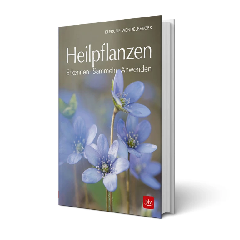 Buch HEILPFLANZEN 